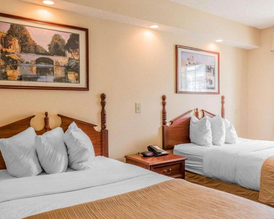 Rodeway Inn Sylacauga Hwy 280 Bagian luar foto