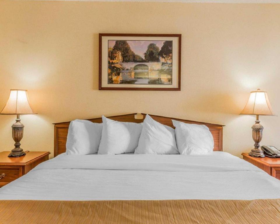 Rodeway Inn Sylacauga Hwy 280 Bagian luar foto