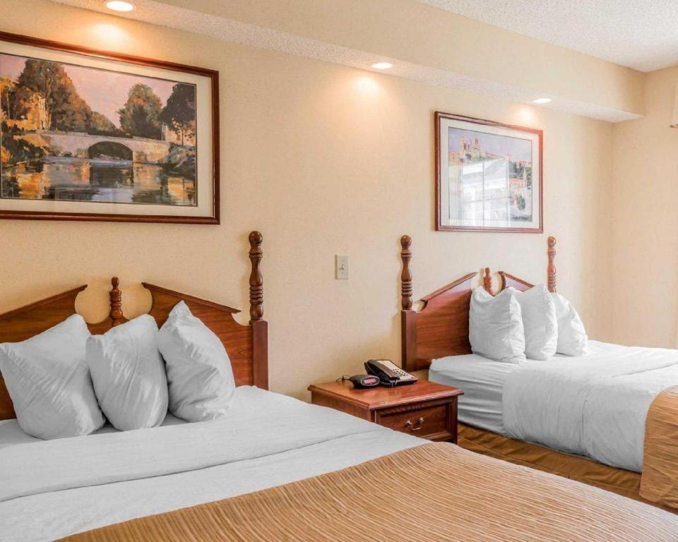 Rodeway Inn Sylacauga Hwy 280 Bagian luar foto