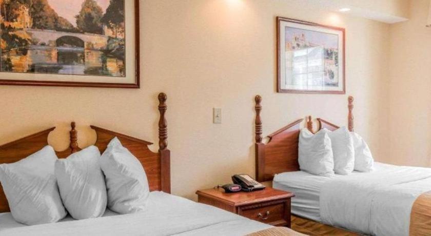 Rodeway Inn Sylacauga Hwy 280 Bagian luar foto