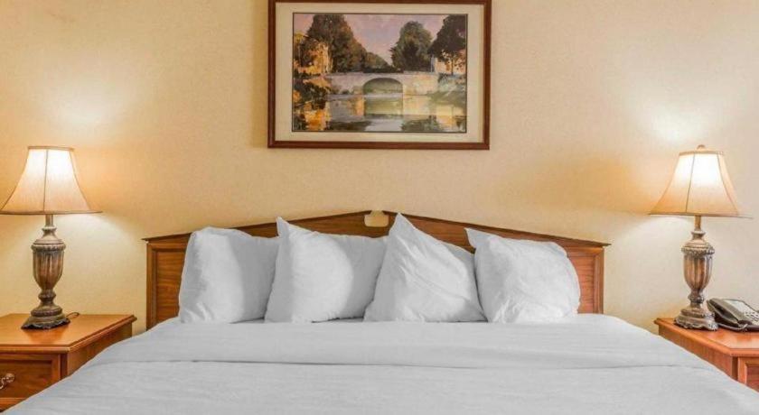 Rodeway Inn Sylacauga Hwy 280 Bagian luar foto